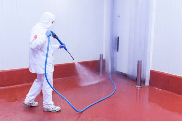 Best Post-Construction Pressure Washing  in Kenmar, PA